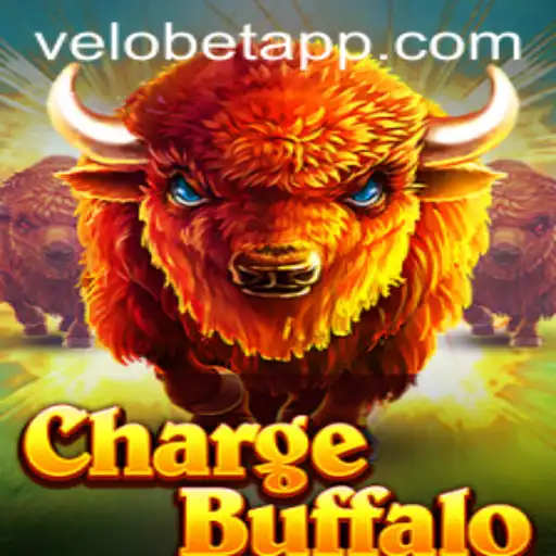 The Thrilling World of ChargeBuffalo and the Exciting Velobet Connection